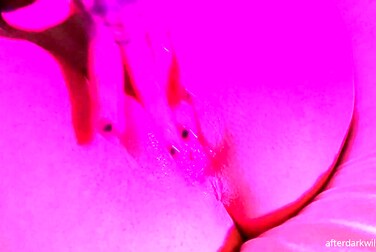 Willow Harper's Solo Fuckfest: Watch Her Finger-Fuck That Wet Pussy Raw!